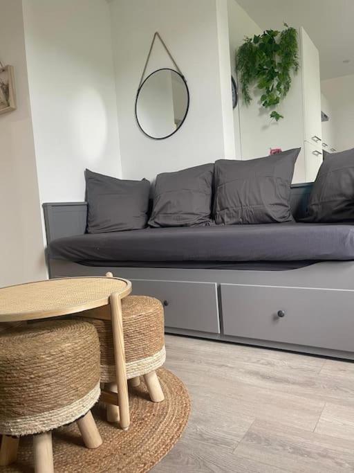 F4 Elegant - Strasbourg Cosy Appartement Buitenkant foto