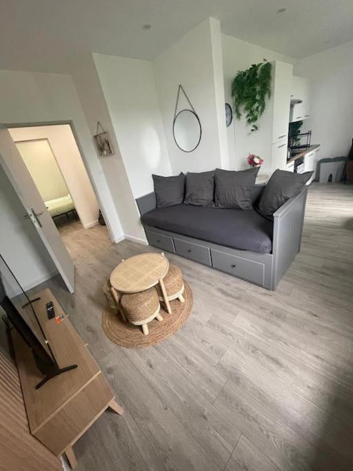 F4 Elegant - Strasbourg Cosy Appartement Buitenkant foto